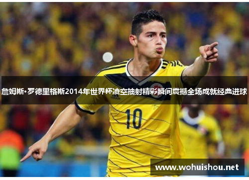 詹姆斯·罗德里格斯2014年世界杯凌空抽射精彩瞬间震撼全场成就经典进球
