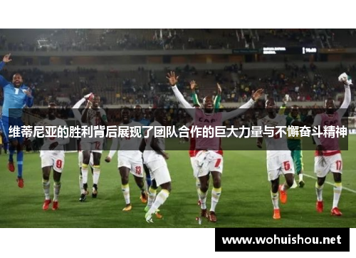 维蒂尼亚的胜利背后展现了团队合作的巨大力量与不懈奋斗精神