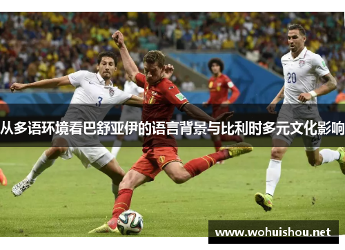 从多语环境看巴舒亚伊的语言背景与比利时多元文化影响 从多语环境看巴舒亚伊的语言背景与比利时多元文化影响