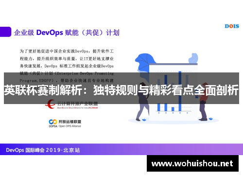 英联杯赛制解析：独特规则与精彩看点全面剖析