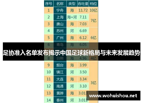 足协准入名单发布揭示中国足球新格局与未来发展趋势